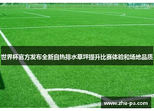 世界杯官方发布全新自热排水草坪提升比赛体验和场地品质