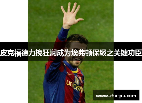 皮克福德力挽狂澜成为埃弗顿保级之关键功臣 皮克福德力挽狂澜成为埃弗顿保级之关键功臣
